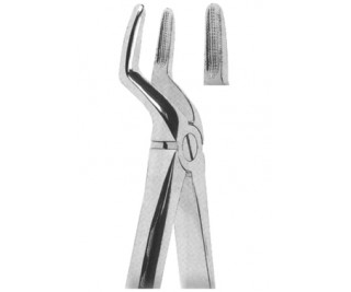 Extracting Forceps English pattern